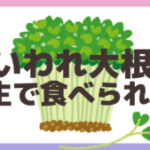 かいわれ大根は生で食べられる？1日の摂取量や育て方を調査