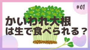 かいわれ大根は生で食べられる？1日の摂取量や育て方を調査