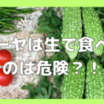 ゴーヤを生で食べるのは危険？腹痛になる？対処方法やデメリットについて紹介