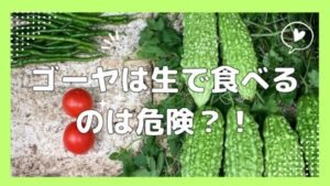 ゴーヤを生で食べるのは危険？腹痛になる？対処方法やデメリットについて紹介