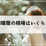 胡蝶蘭のお祝い相場はいくら？本数や色による値段の違いを調査。