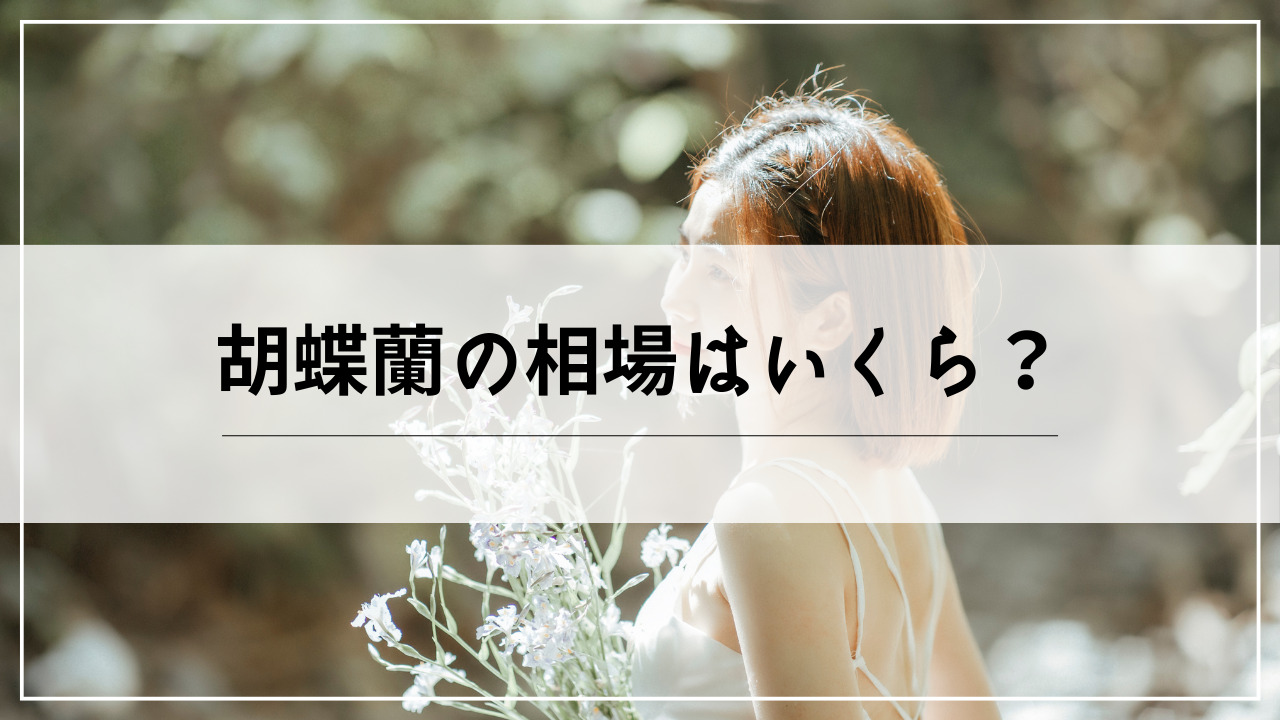 胡蝶蘭のお祝い相場はいくら？本数や色による値段の違いを調査。